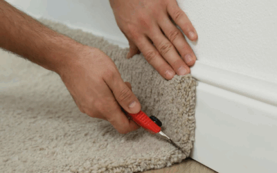 Common Carpet Problems Identified by Certified Inspectors