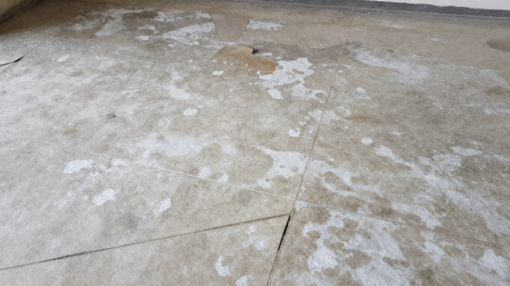 Protect Your Flooring From Humidity Damage