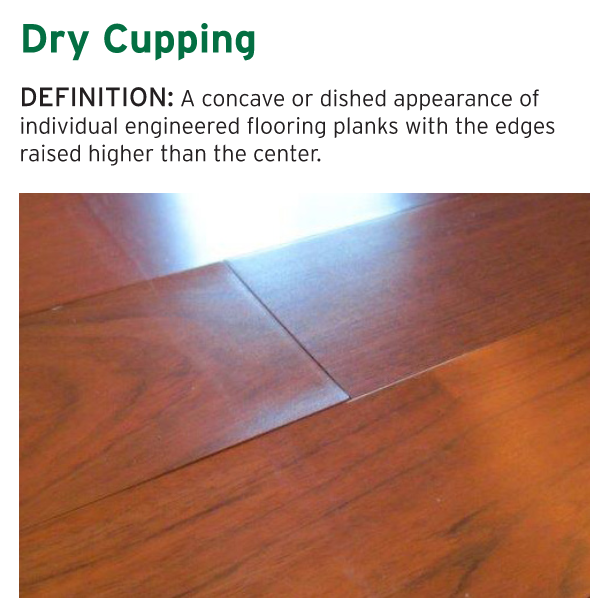 Dry Cupping